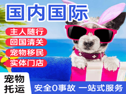 阿拉善航空快运国际宠物托运 【国
